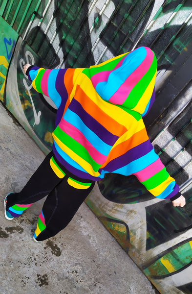 Zebra Rainbow hoodie
